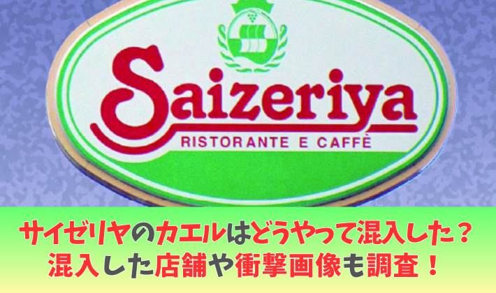 サイゼリヤのカエルはどうやって混入した?どこの店舗かや衝撃画像も調査!