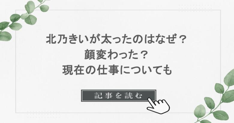 北乃きいが太ったのはなぜ？顔変わった？現在の仕事についても