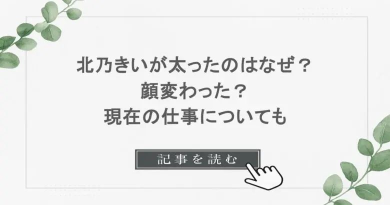北乃きいが太ったのはなぜ？顔変わった？現在の仕事についても